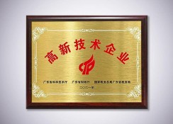 高新技術(shù)企業(yè)