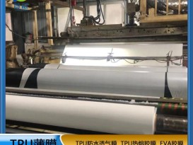 tpu膜白色霧面防水透氣膜復(fù)合布料紡織移印 等功能性薄膜廠家直銷(xiāo)